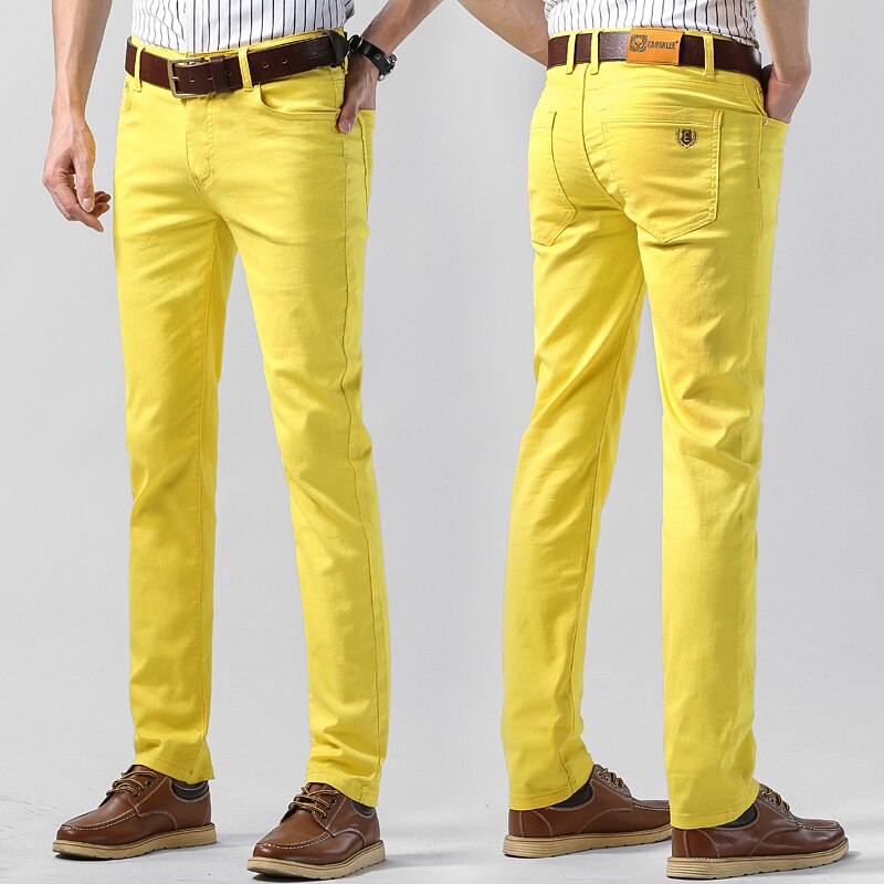 Trendy colored pants for men - Troy